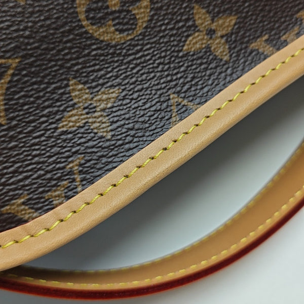 DIANE Monogram Coated Canvas Multicolor