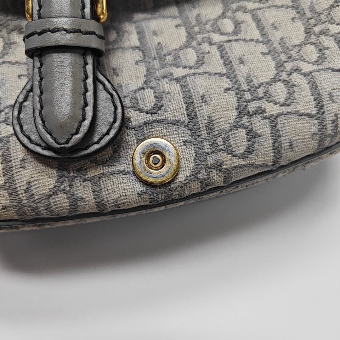 Bobby Medium Oblique Canvas Gray