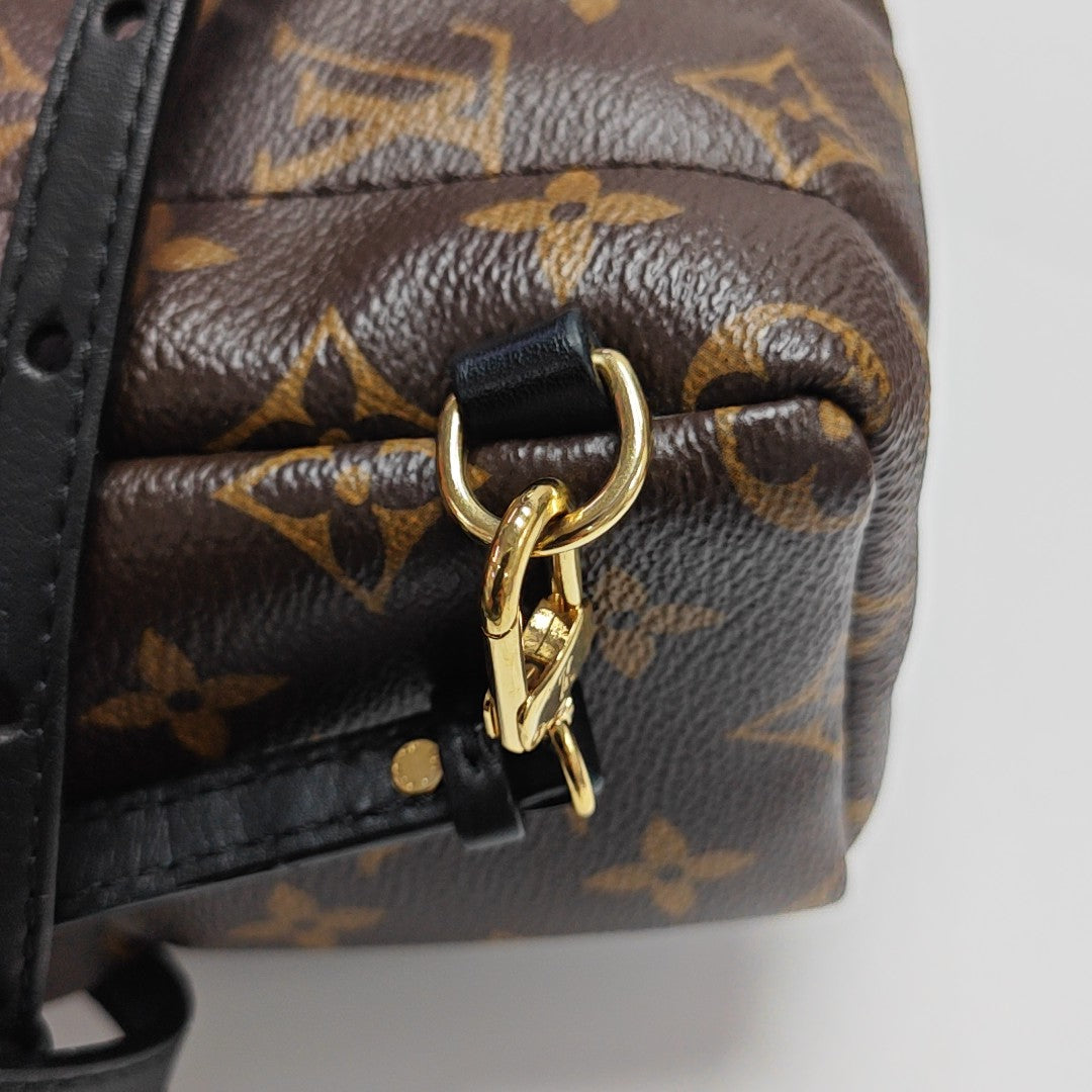 PALM SPRINGS Mini Monogram Coated Canvas Brown