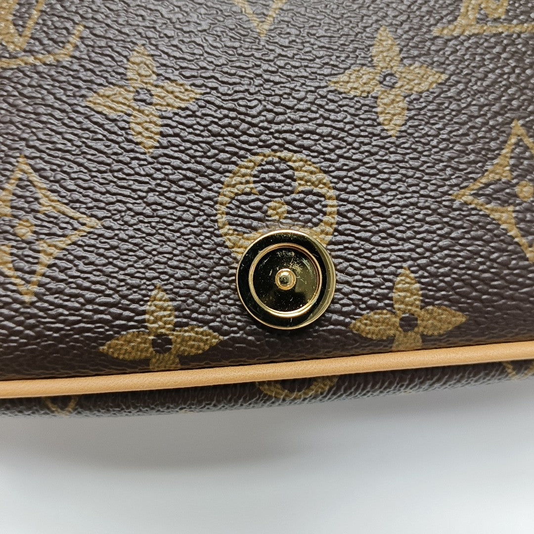 DIANE Nano Monogram Coated Canvas Brown