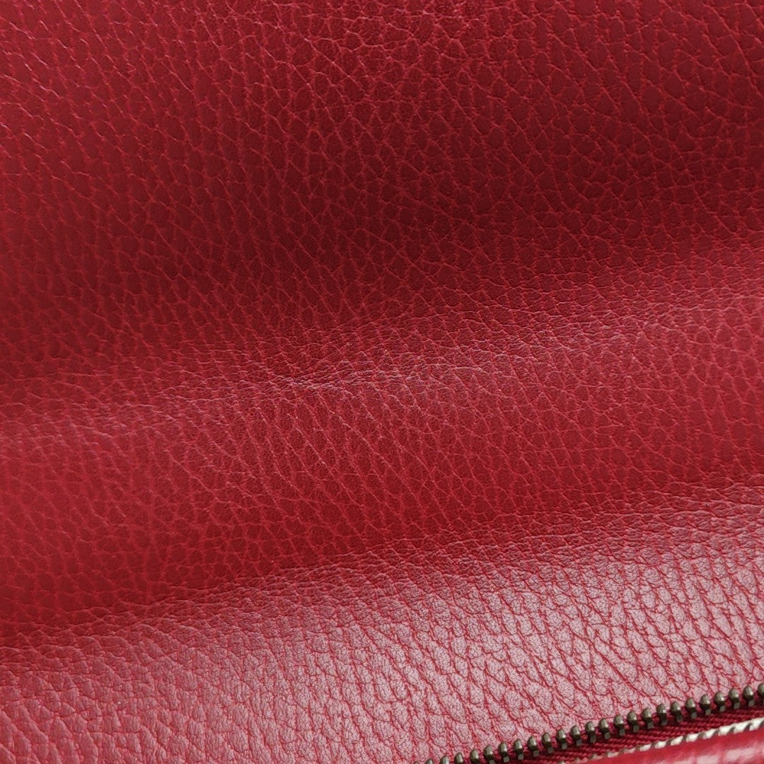 Dionysus Medium Calfskin Red