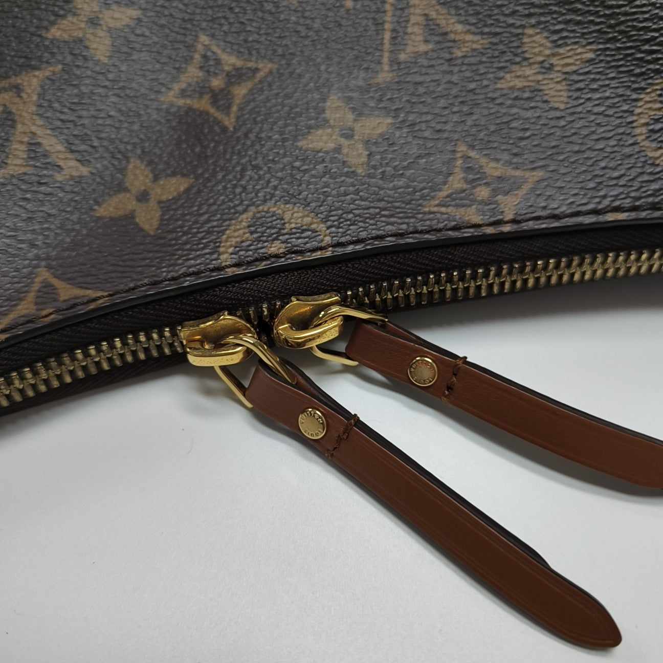 LOOP HOBO Monogram Coated Canvas Brown