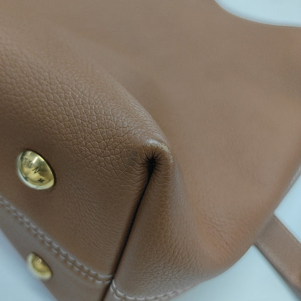 LOW KEY HOBO PM Monogram Calfskin Brown
