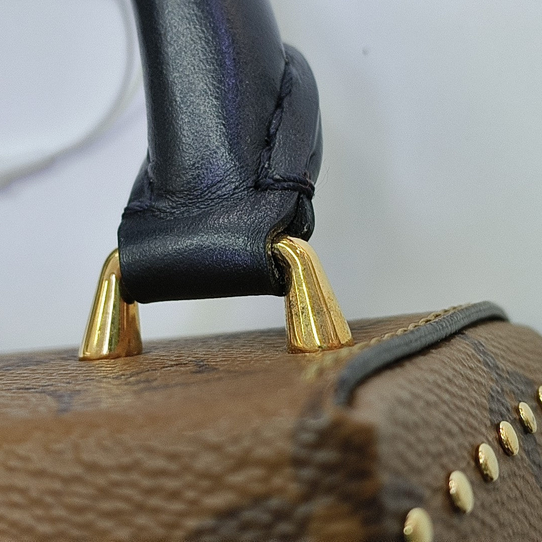 CAMERA BOX Monogram Coated Canvas Brown