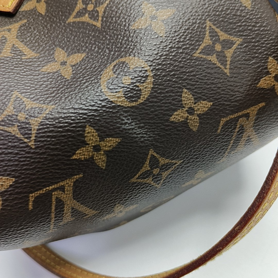 SPEEDY Nano Monogram Coated Canvas Brown