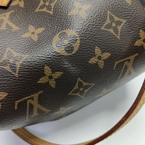 SPEEDY Nano Monogram Coated Canvas Brown