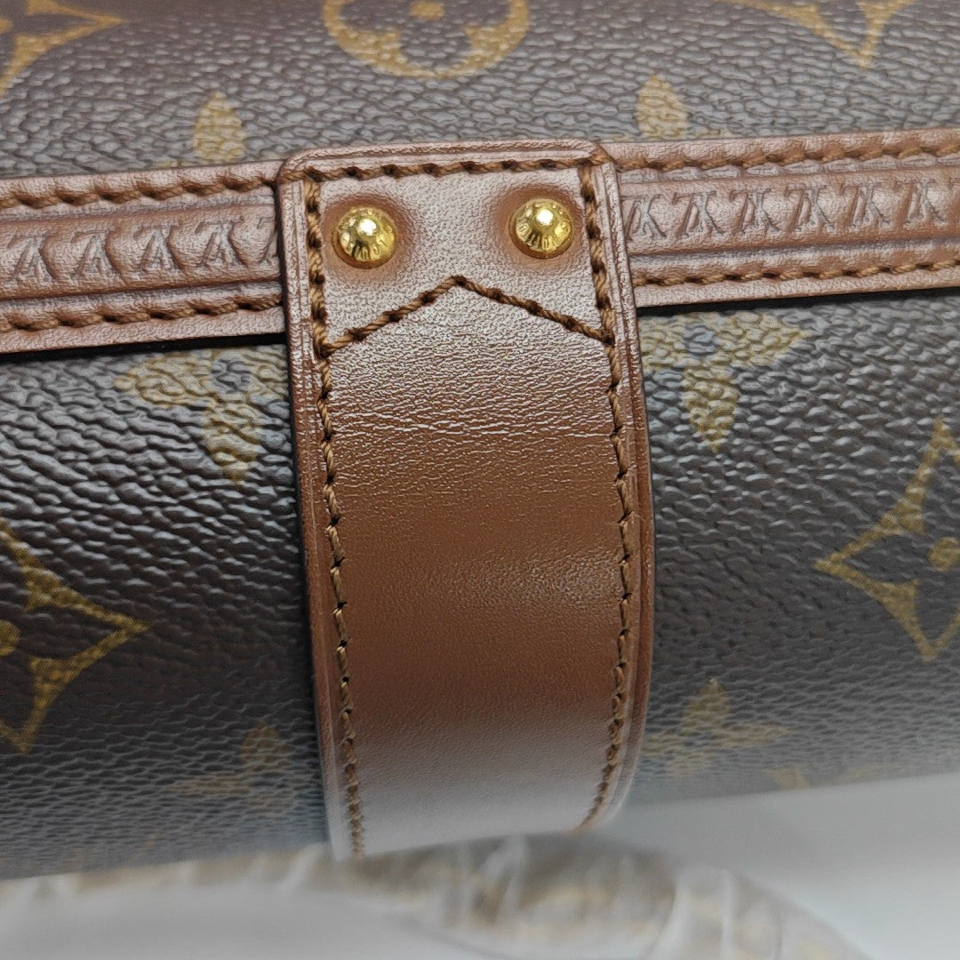 PAPILLON 19 Monogram Coated Canvas Brown