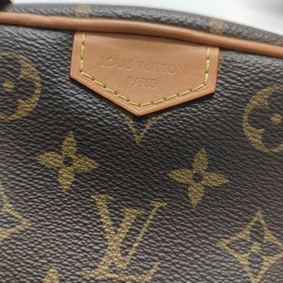 MARLY DRAGONNE Mini Monogram Coated Canvas Brown