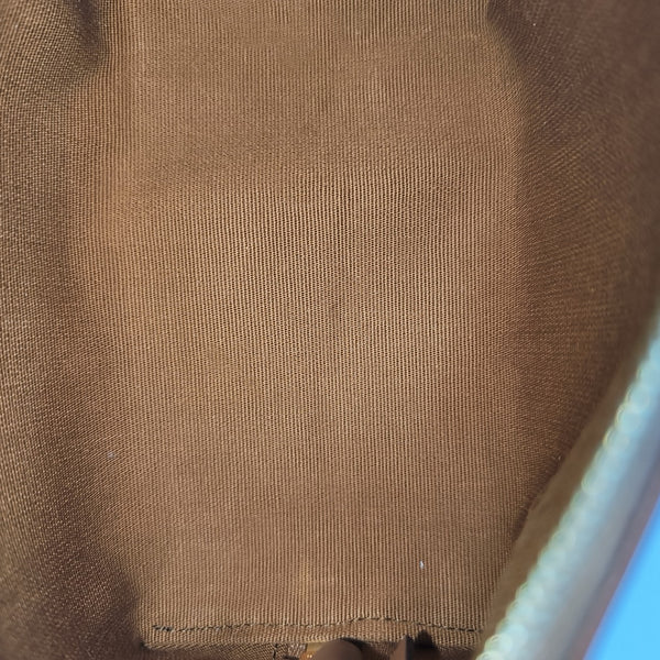 TRIOMPHE CANVAS Mini Coated Canvas Brown