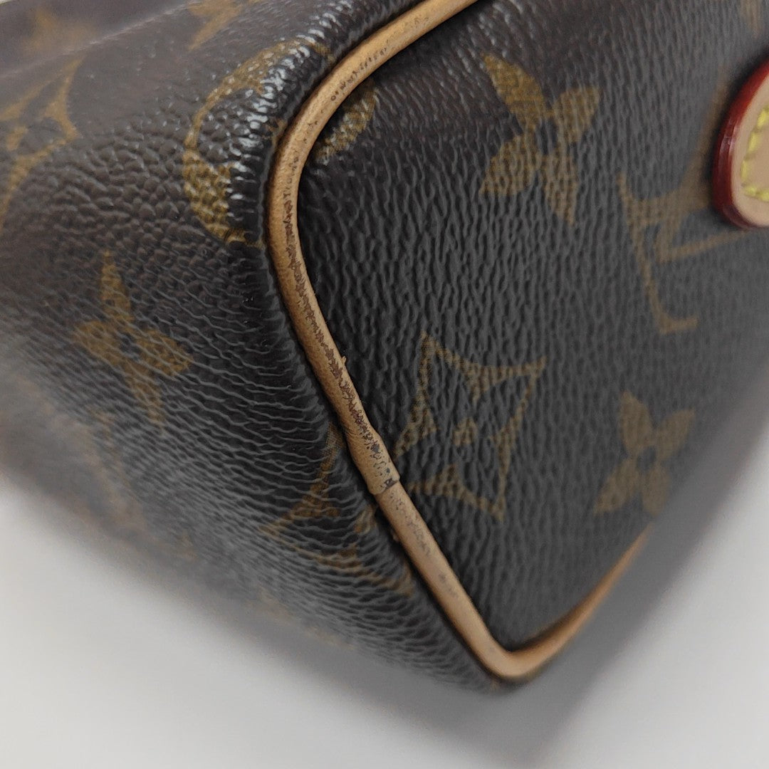 SPEEDY Nano Monogram Coated Canvas Brown