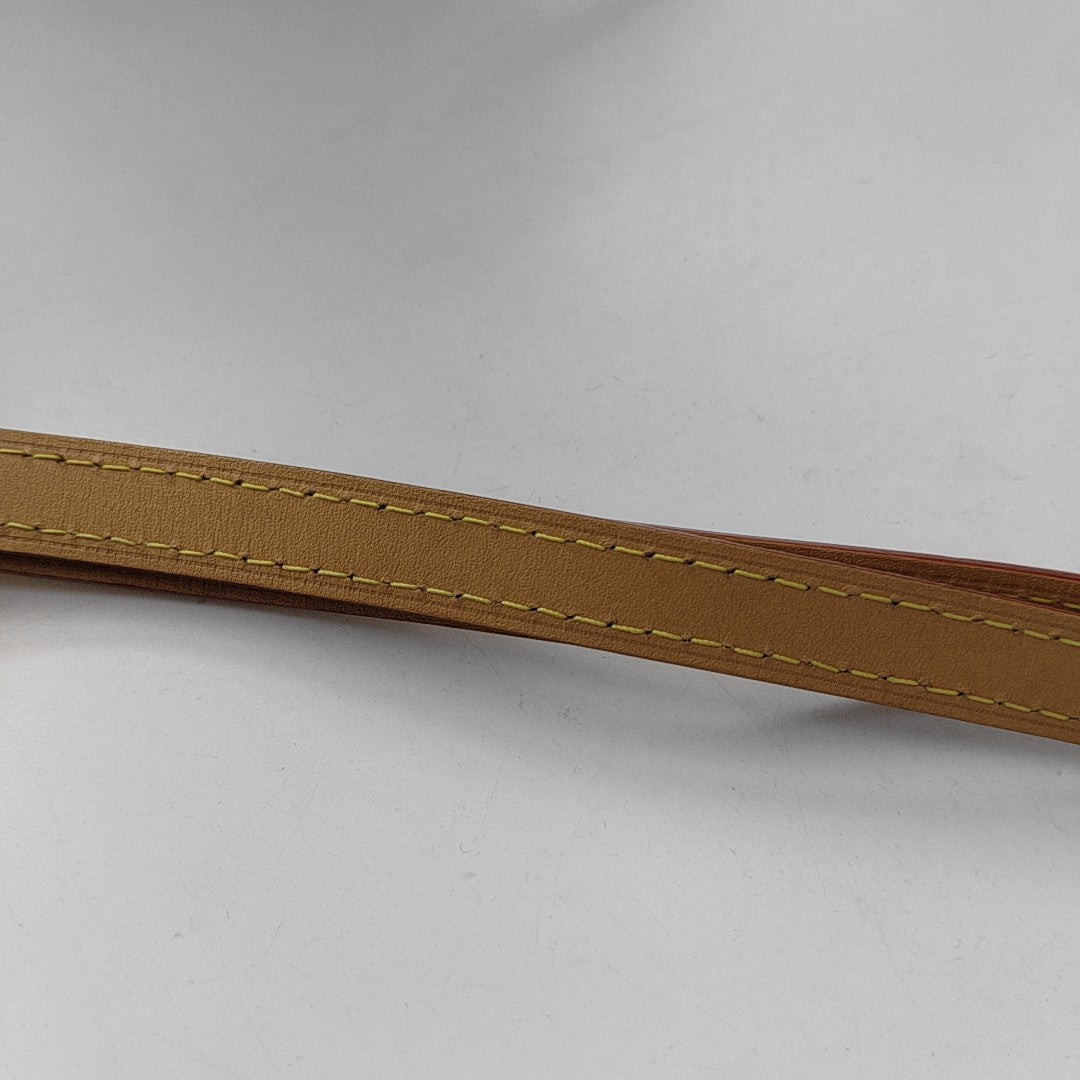 SIDE TRUNK PM Monogram Coated Canvas Brown