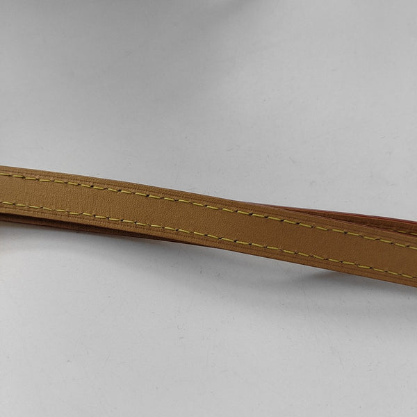 SIDE TRUNK PM Monogram Coated Canvas Brown