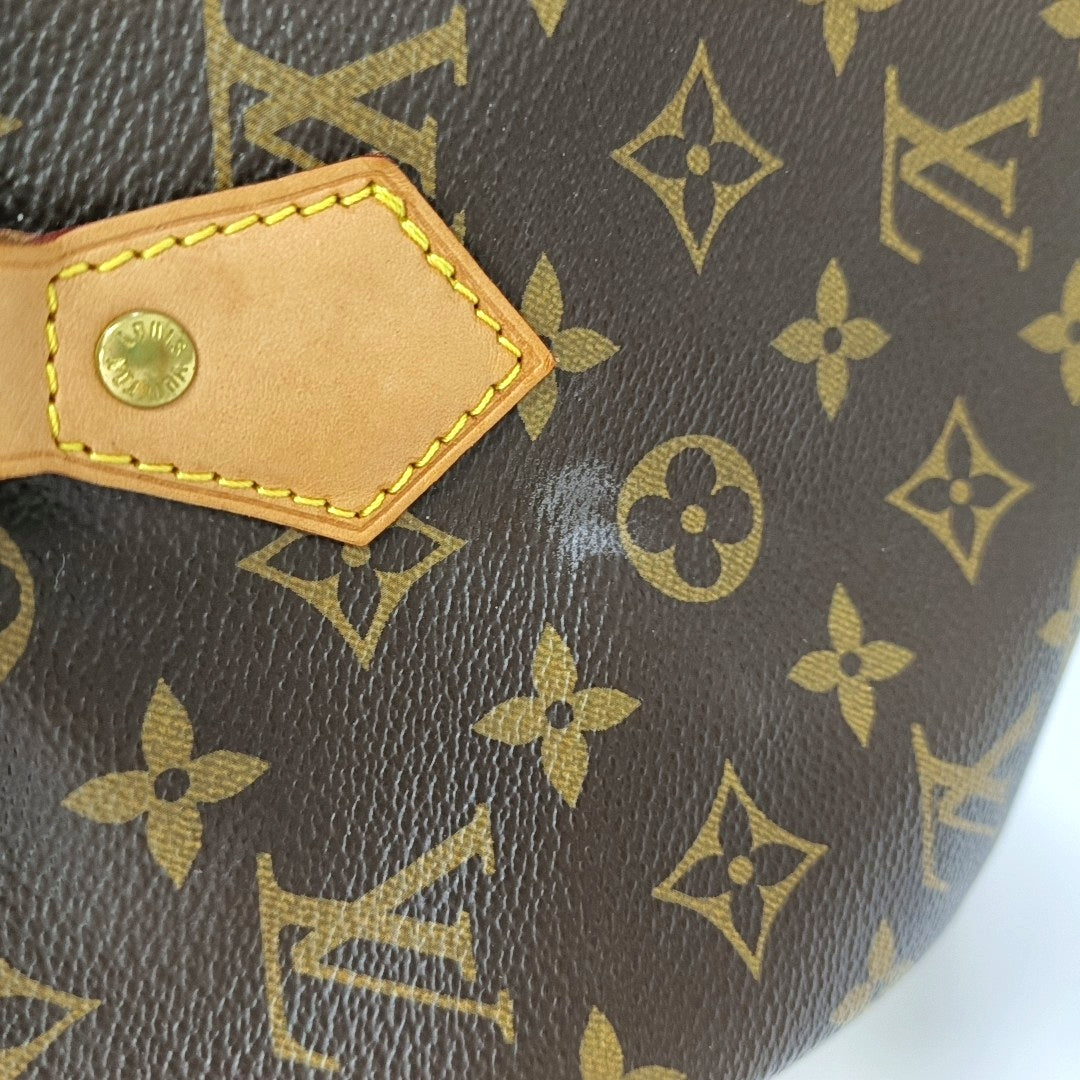 SPEEDY 30 Monogram Coated Canvas Brown