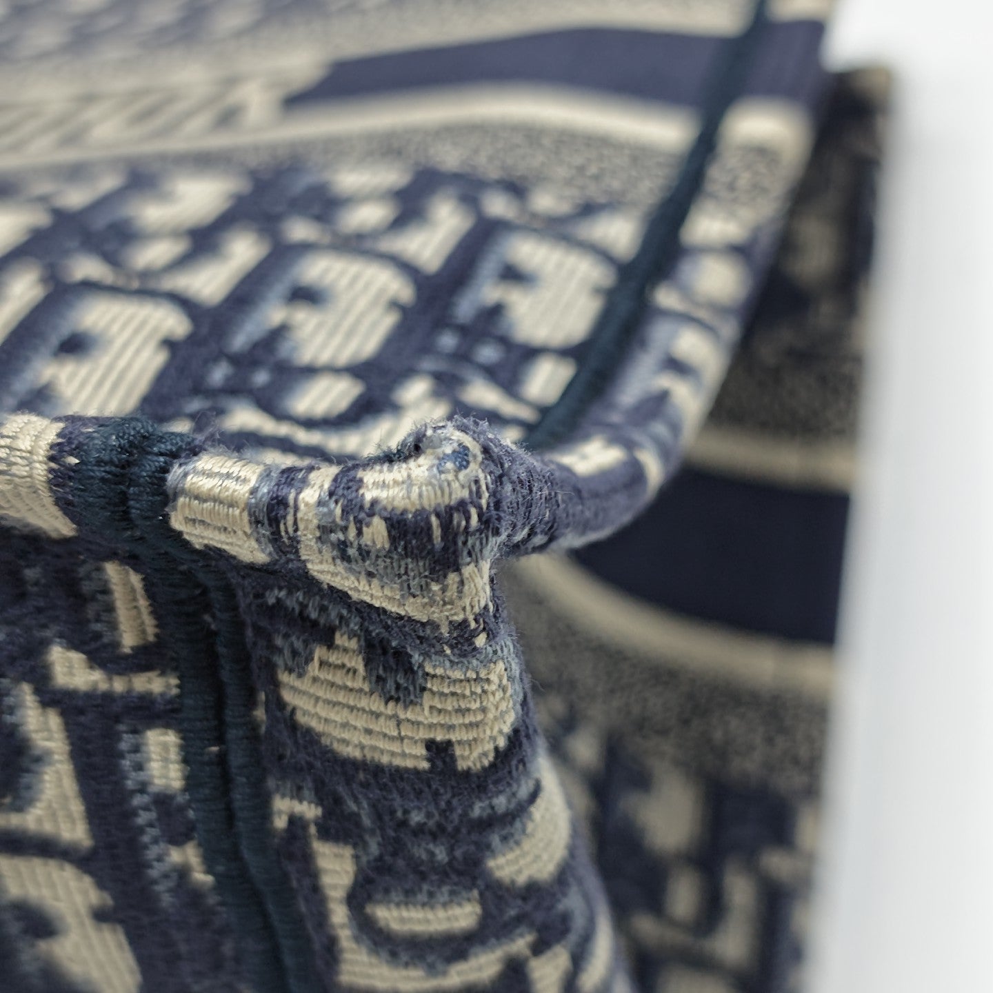 Book Tote Medium Oblique Canvas Blue
