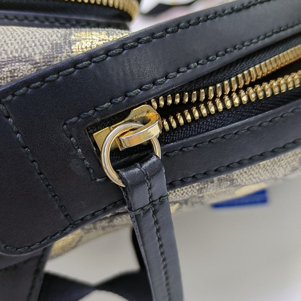 Eden Monogram Coated Canvas Beige