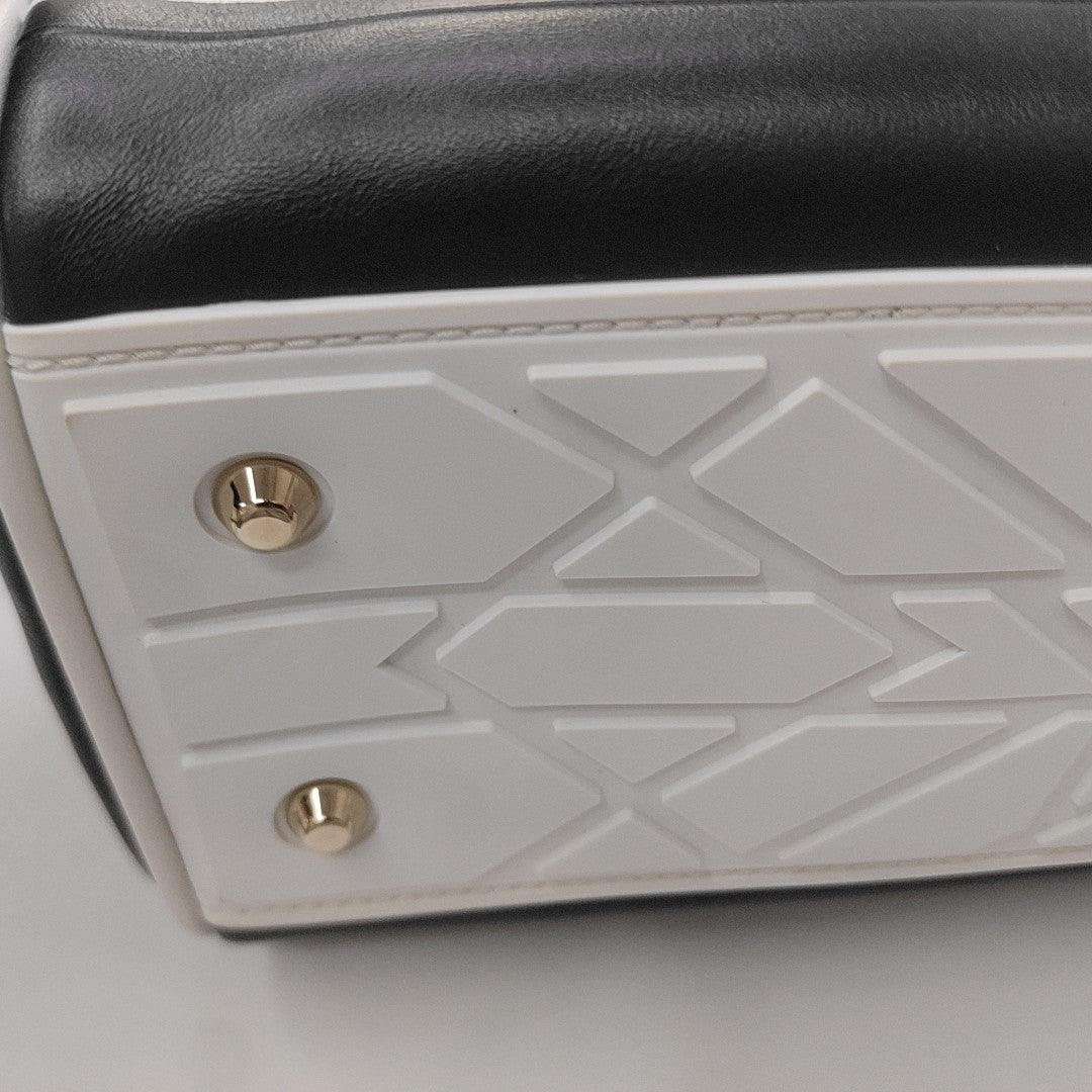 Vibe Small Calfskin Black