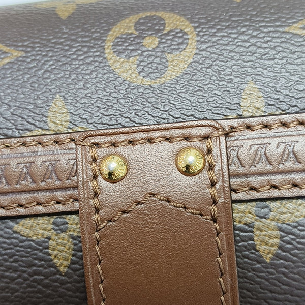 PAPILLON 19 Monogram Coated Canvas Brown