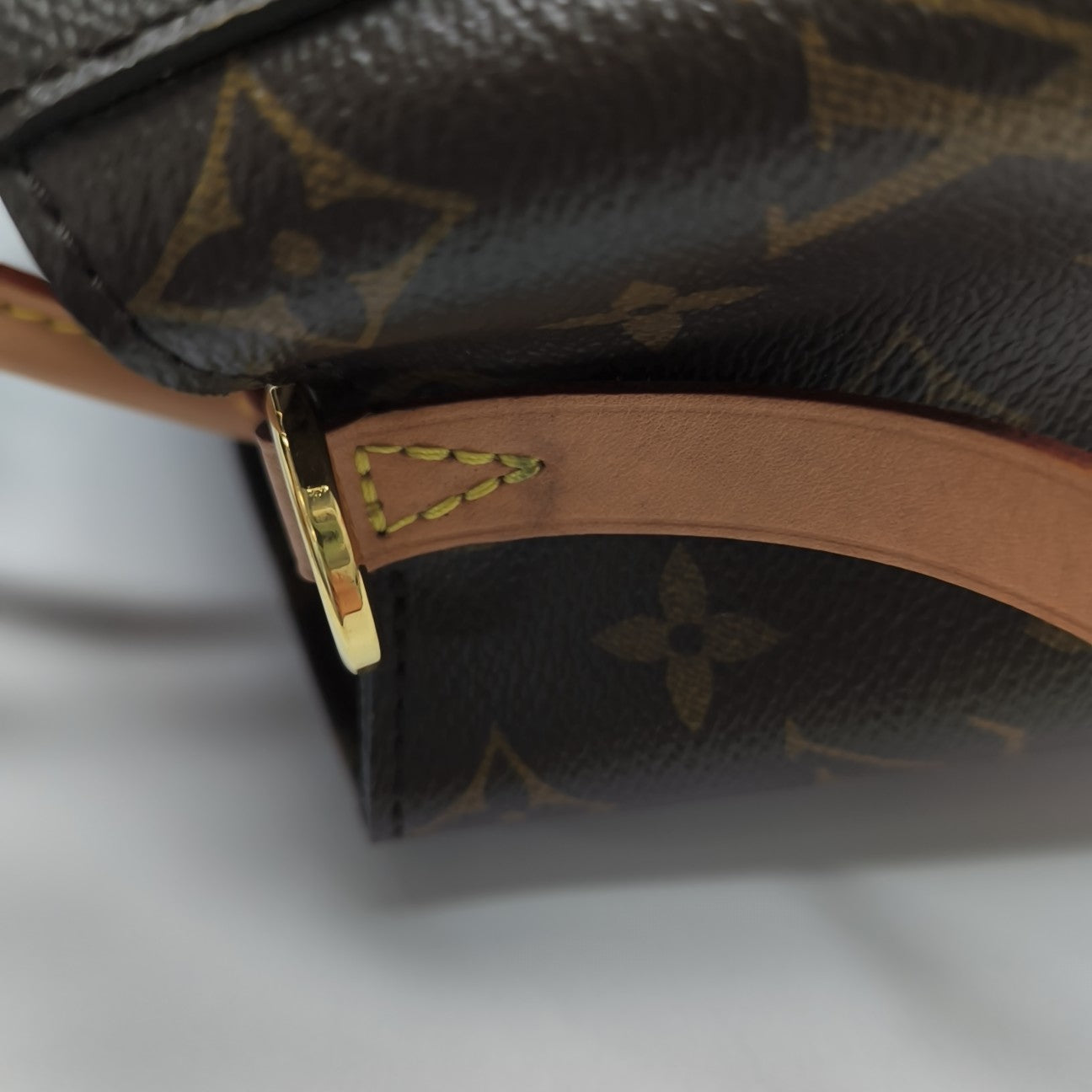 MONTAIGNE Monogram Coated Canvas Brown