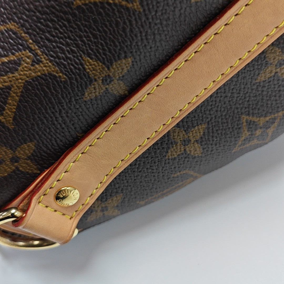 SPEEDY 25 Monogram Coated Canvas Brown