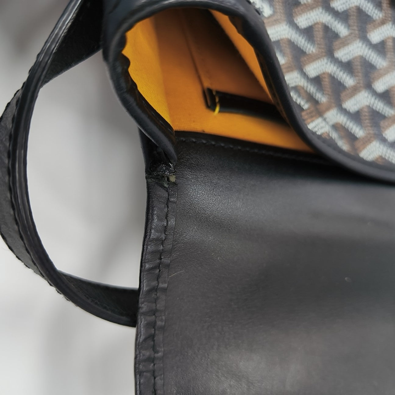 Belvedere Coated Canvas Black
