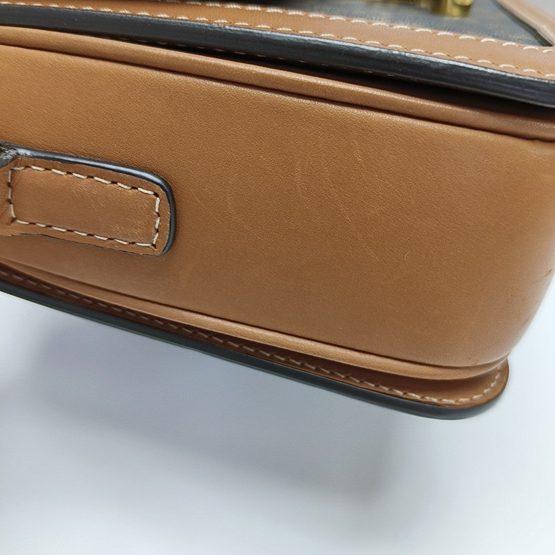 TRIOMPHE Small Coated Canvas Brown