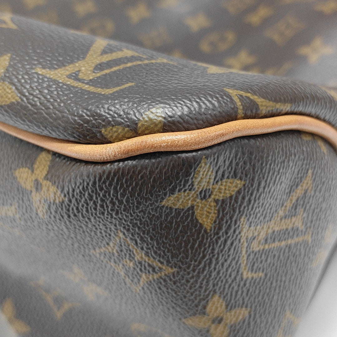 DELIGHTFUL Monogram Coated Canvas Brown