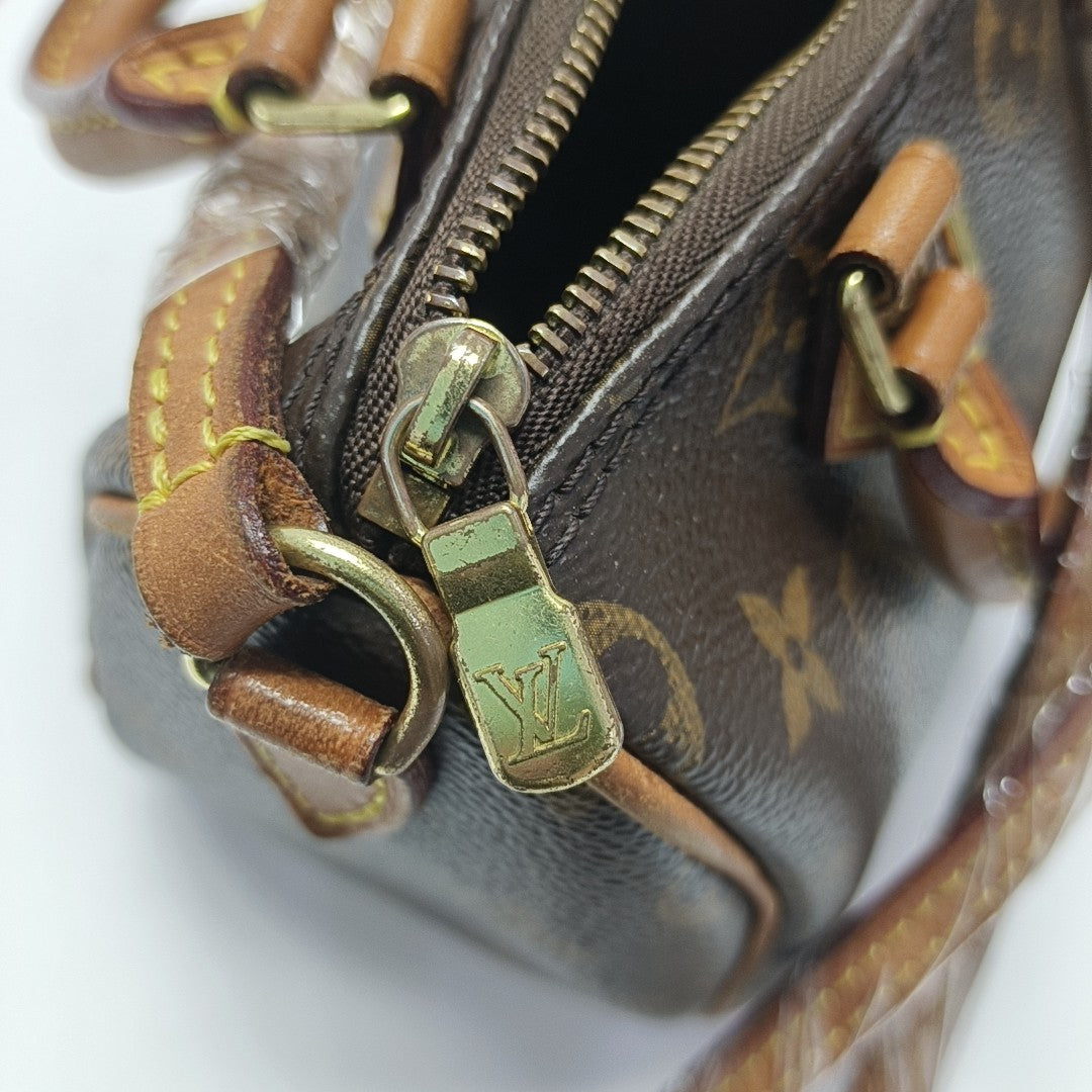 SPEEDY Nano Monogram Coated Canvas Brown