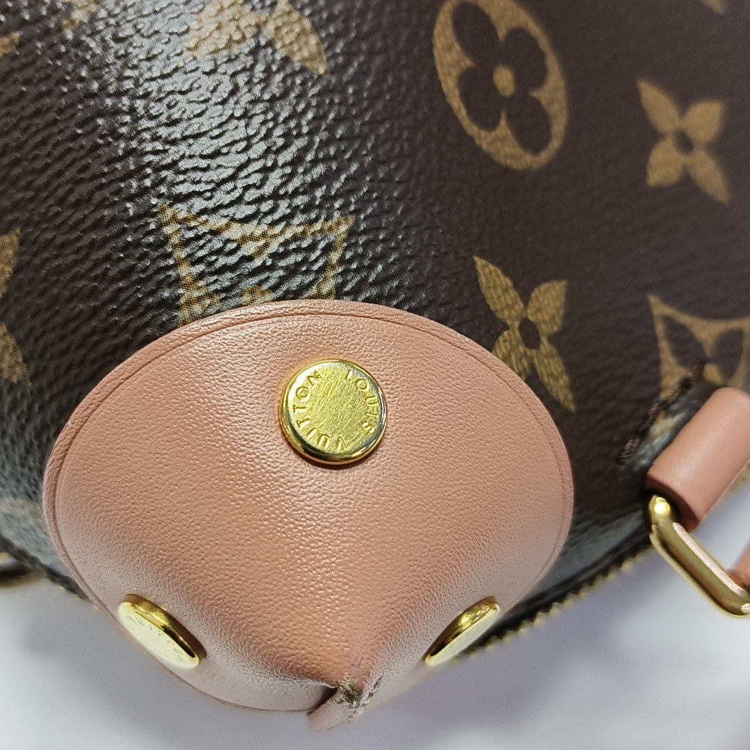 PETITE MALLE Monogram Coated Canvas Brown
