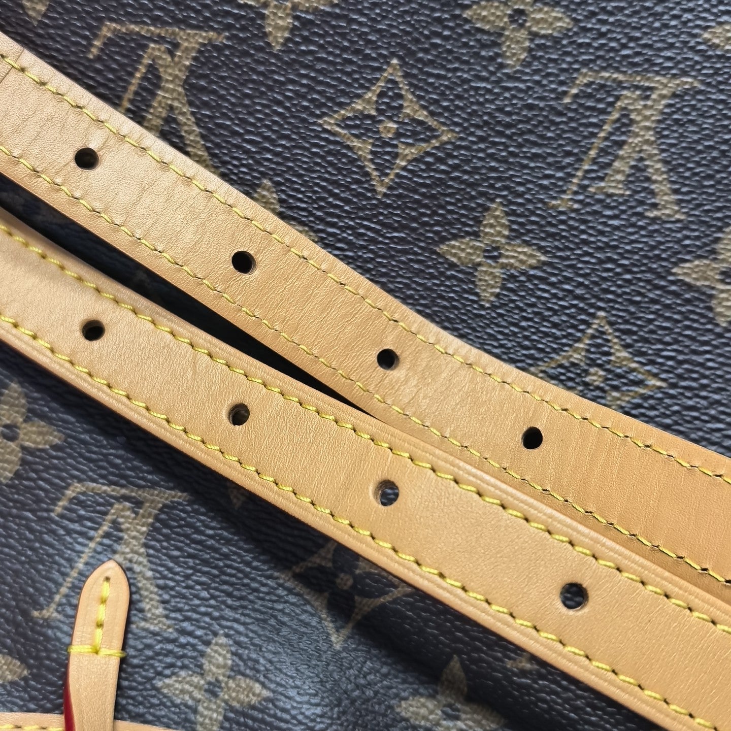 CARRYALL PM Monogram Coated Canvas Brown