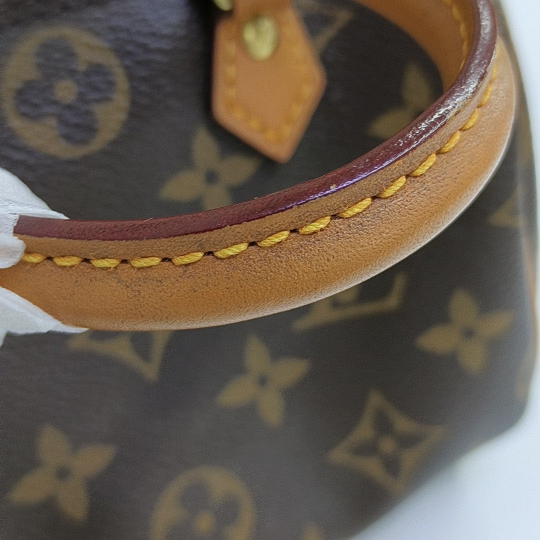 SPEEDY Nano Monogram Coated Canvas Brown