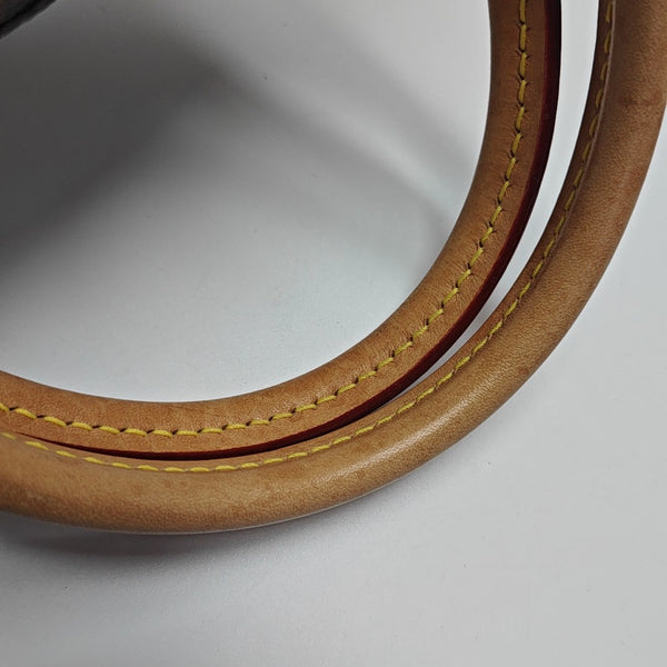ELLIPSE Monogram Coated Canvas Brown