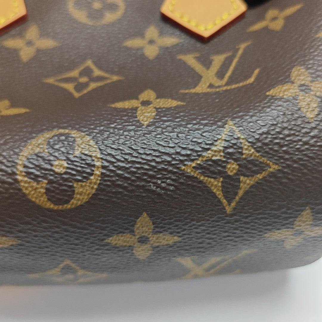 Authenticated pre-owned  SPEEDY Nano Monogram Coated Canvas Brown - Shoulder Bag at Looply
