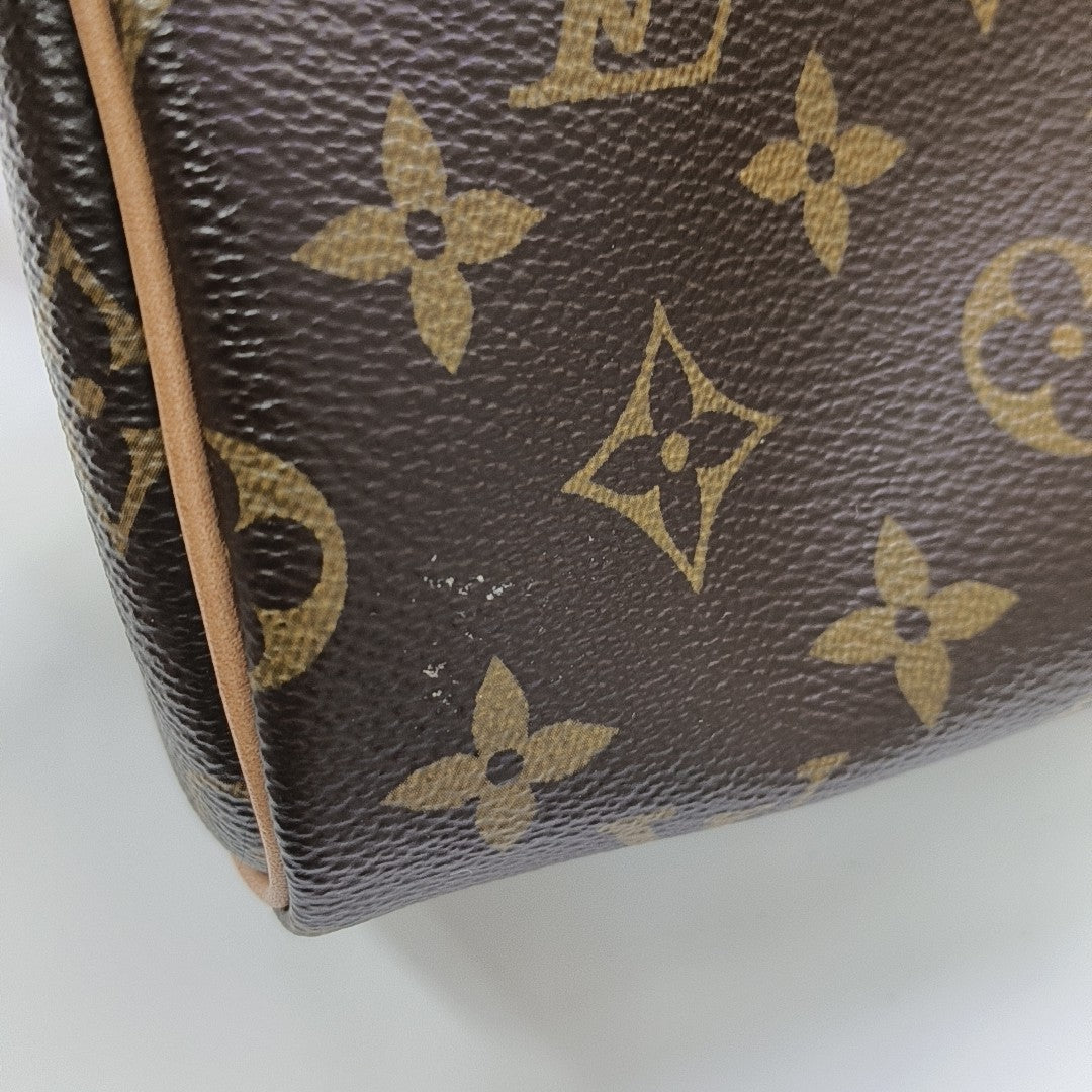 SPEEDY Nano Monogram Coated Canvas Brown