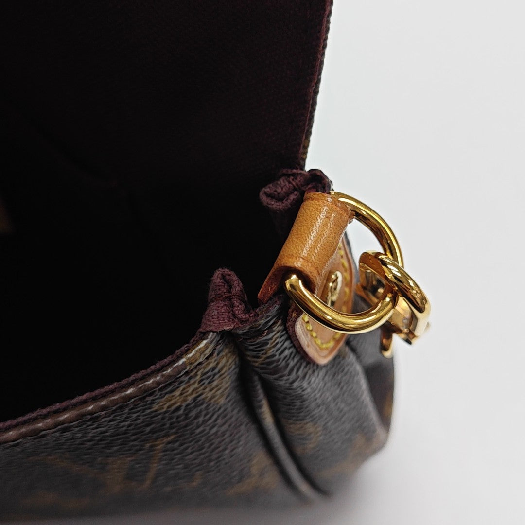 FAVORITE PM Monogram Coated Canvas Brown