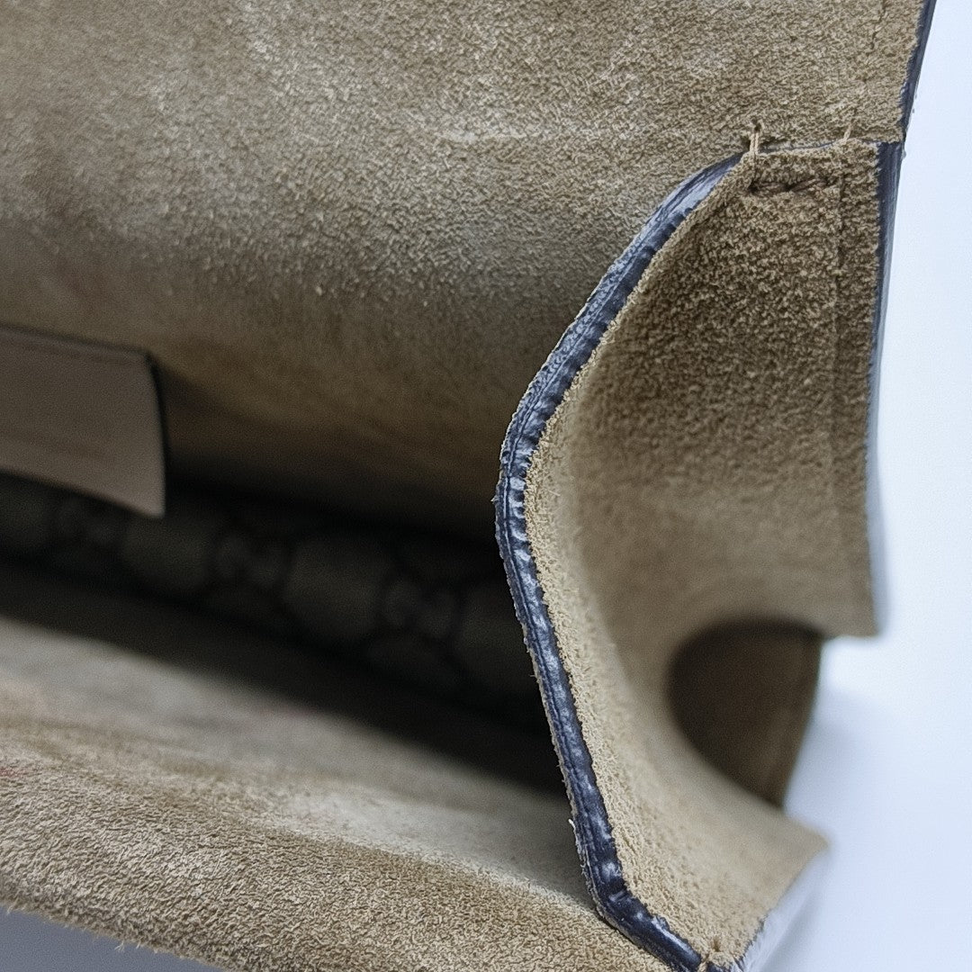 Dionysus Mini Monogram Coated Canvas Beige