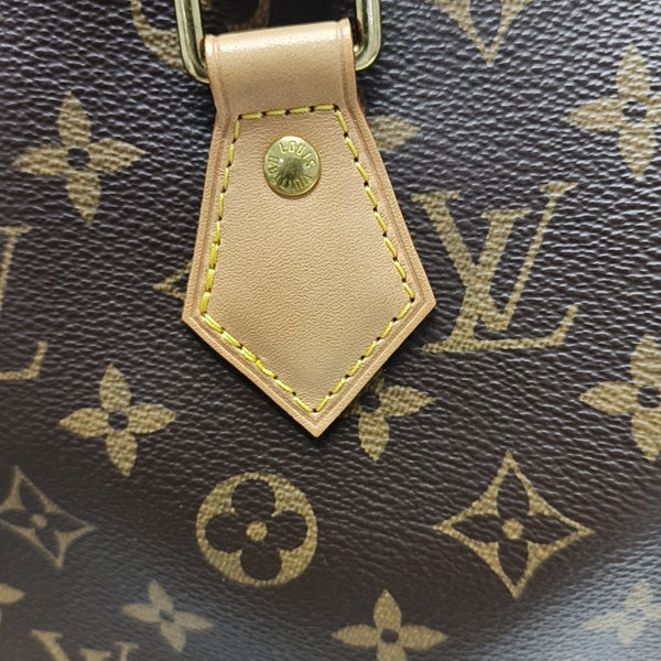 SPEEDY 25 Monogram Coated Canvas Brown