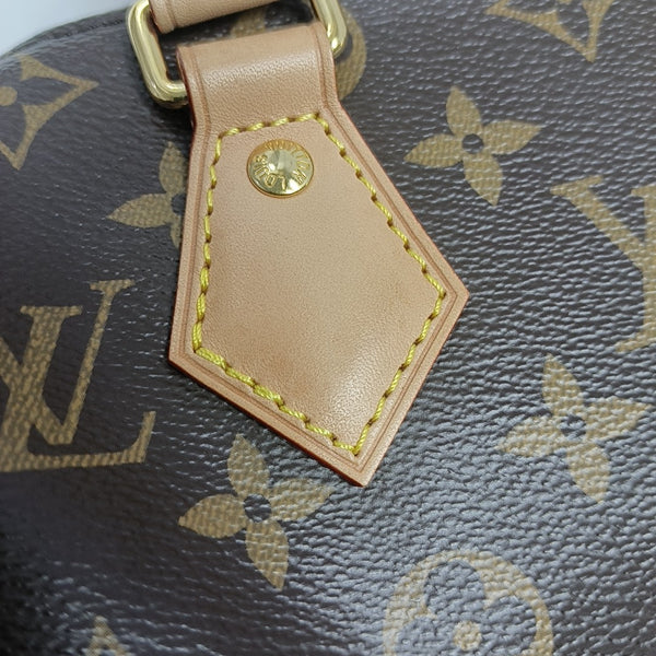 SPEEDY 20 Monogram Coated Canvas Brown
