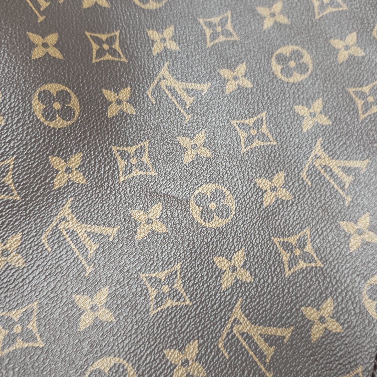 LOOP HOBO Monogram Coated Canvas Brown