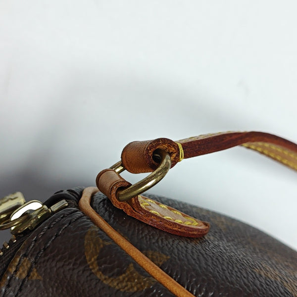 SPEEDY Nano Monogram Coated Canvas Brown