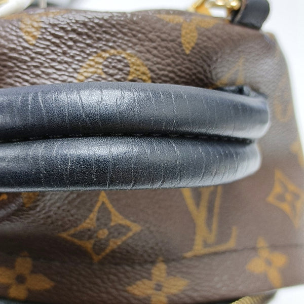 PALM SPRINGS Mini Monogram Coated Canvas Brown