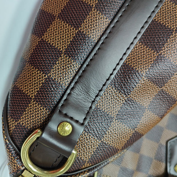 SPEEDY 25 Damier Ebene Coated Canvas Brown