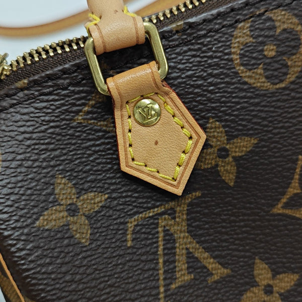 SPEEDY Nano Monogram Coated Canvas Brown