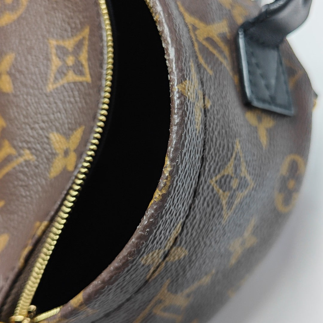 PALM SPRINGS Mini Monogram Coated Canvas Brown