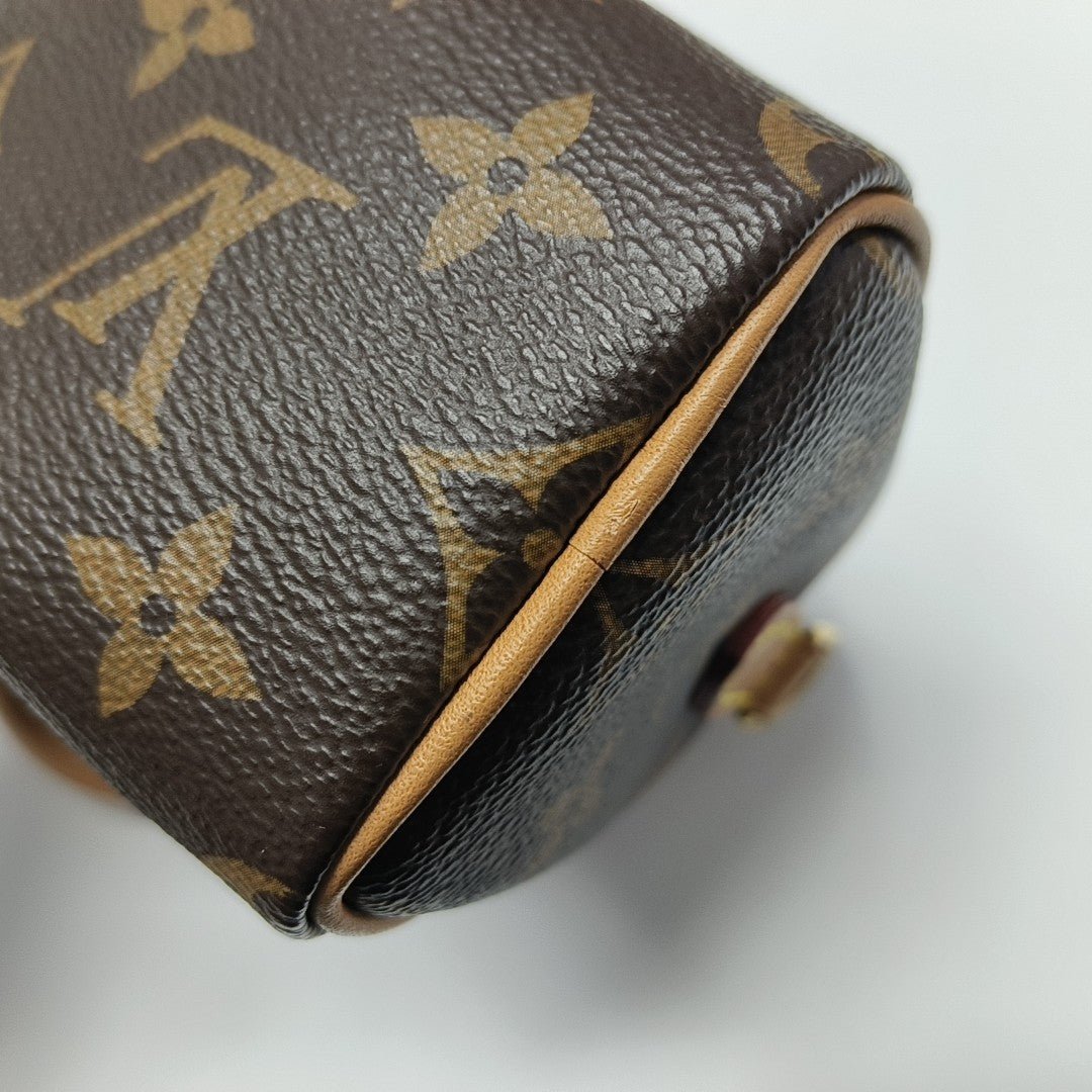 SPEEDY Nano Monogram Coated Canvas Brown