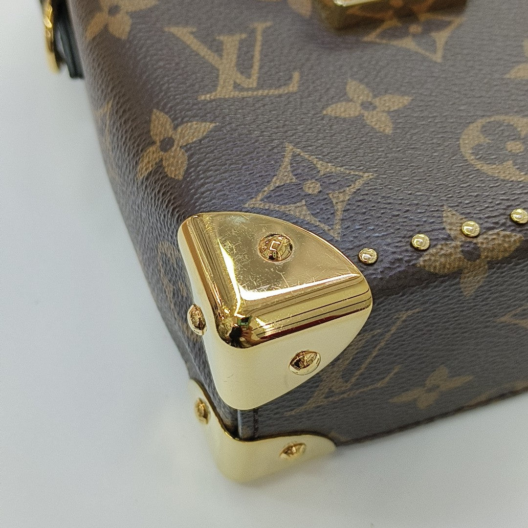 CAMERA BOX Monogram Coated Canvas Brown