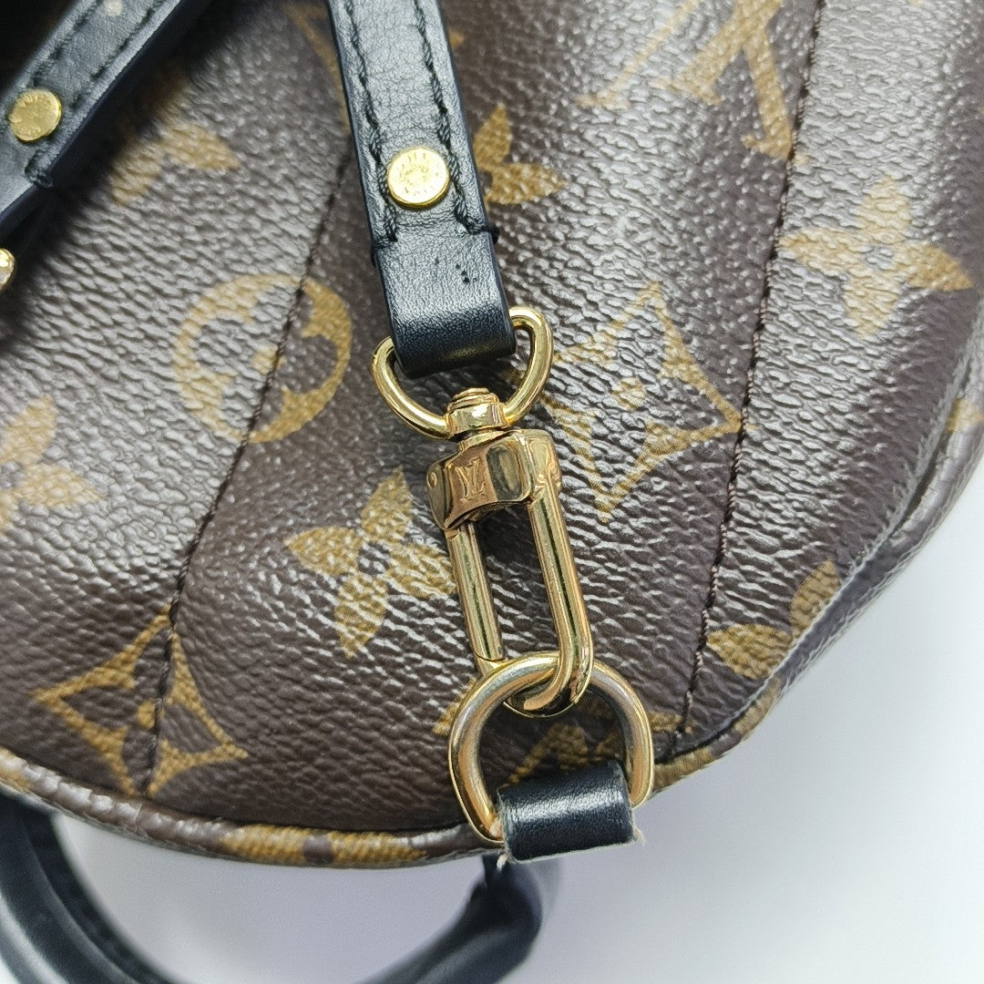 PALM SPRINGS Mini Monogram Coated Canvas Brown