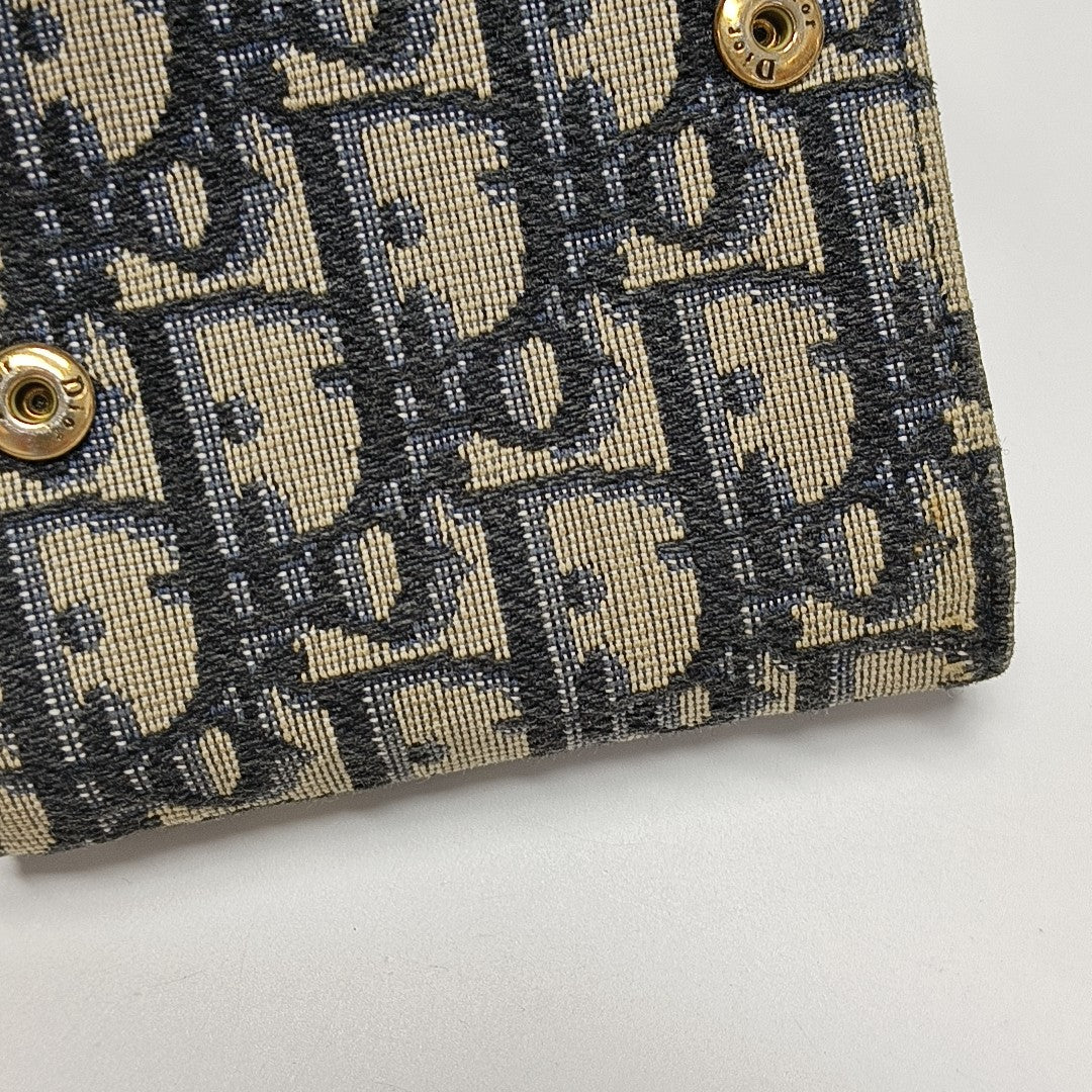 Saddle Mini Oblique Canvas Blue Wallet