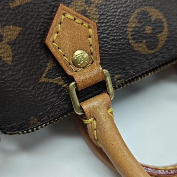 SPEEDY Nano Monogram Coated Canvas Brown