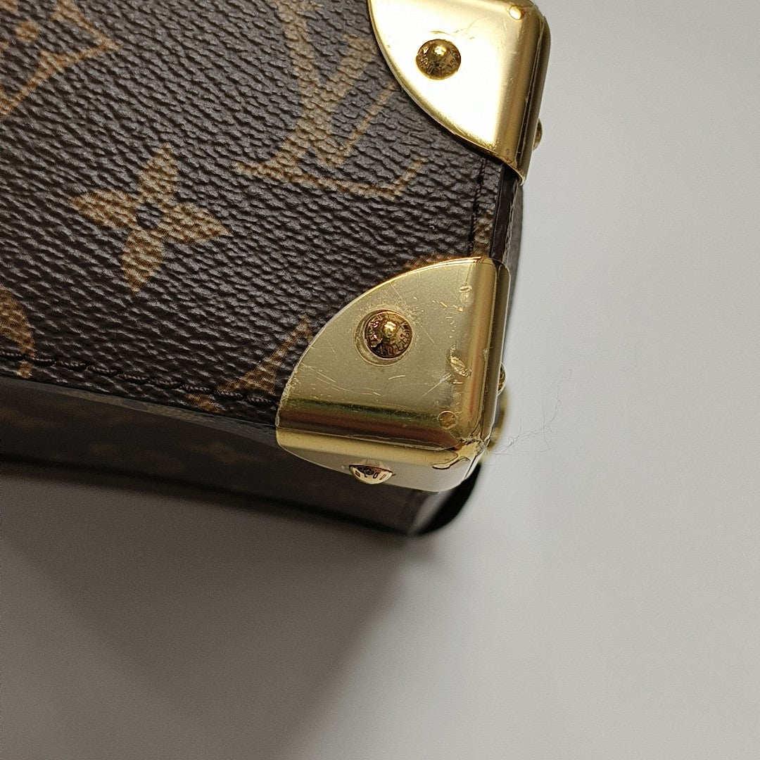CAMERA BOX Monogram Coated Canvas Brown