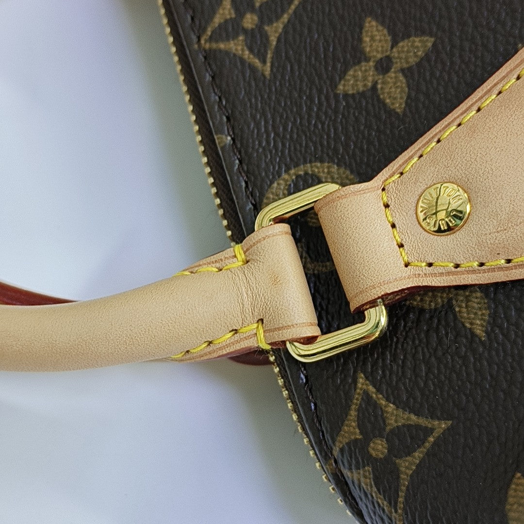 SPEEDY 20 Monogram Coated Canvas Brown